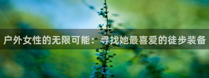 新宝gg入口网址