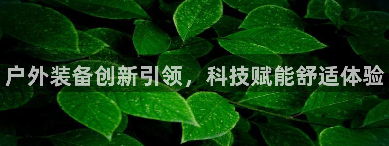 新宝GG绿色