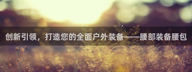 新宝gg计划
