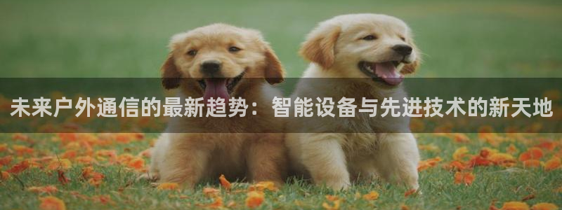 新宝gg如何赚钱