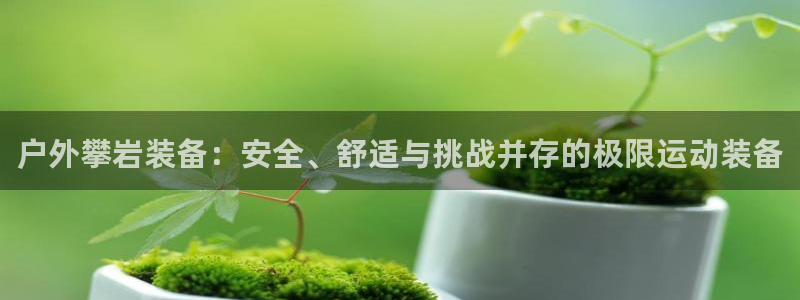 新宝gg找回账号