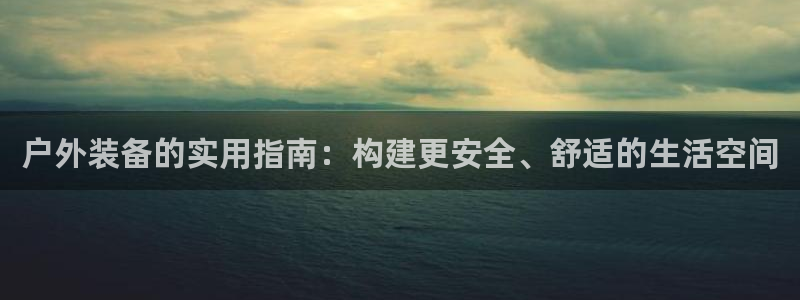 广东新宝电器gg