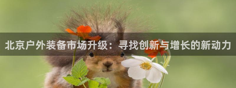 新宝GG 黑钱
