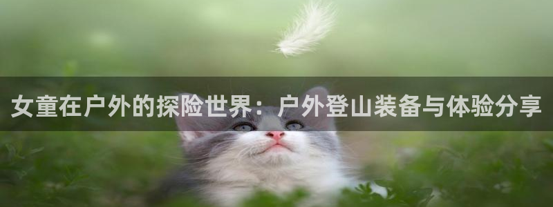 新宝gg主页