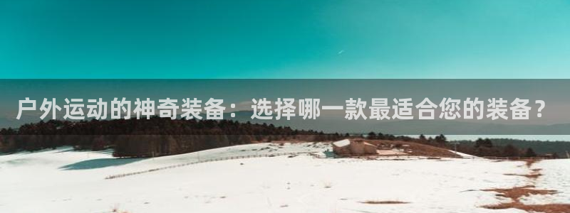 新宝 gg 总代理