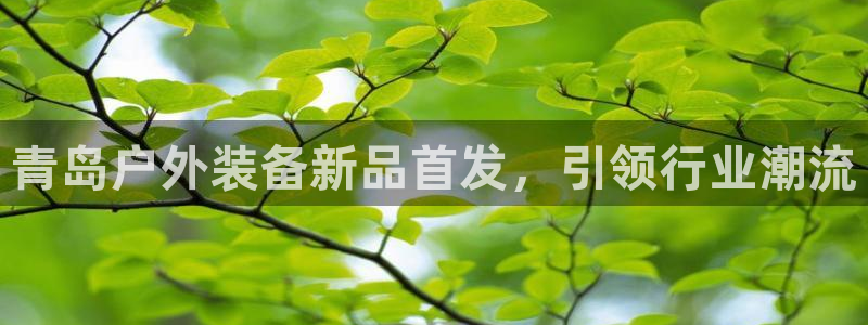 新宝 gg 总代理