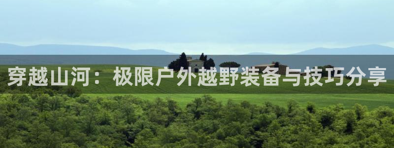 广东新宝电器gg