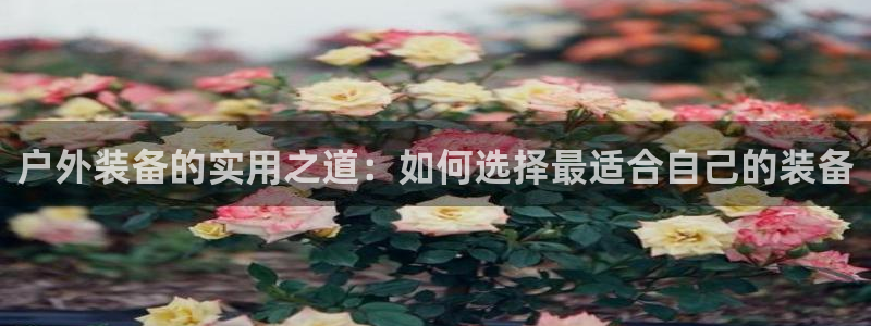 新宝gg 彩票