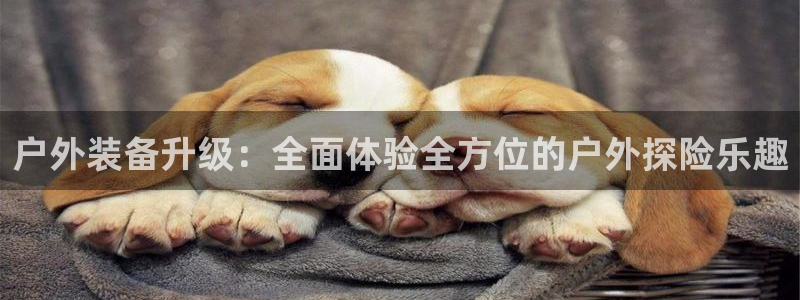 新宝gg找回账号