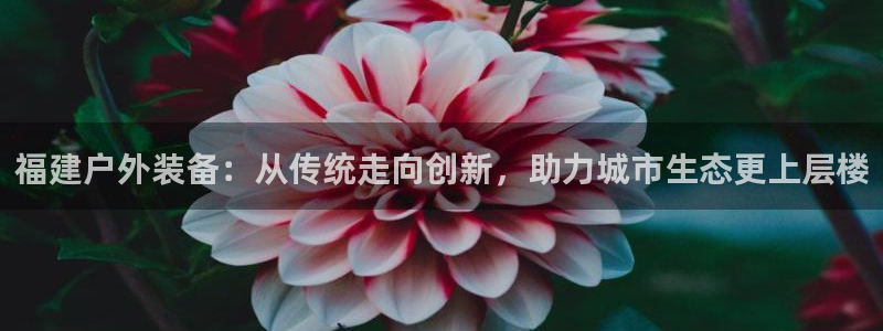 新宝_GG奇迹