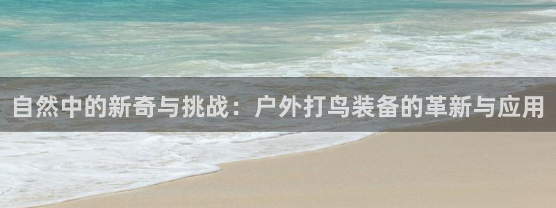 新宝gg平台注册