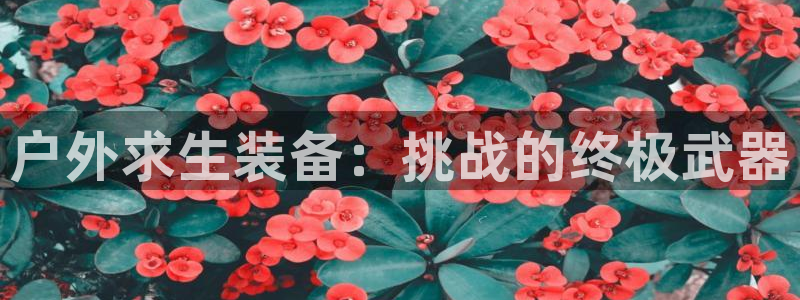 新宝gg客服电话