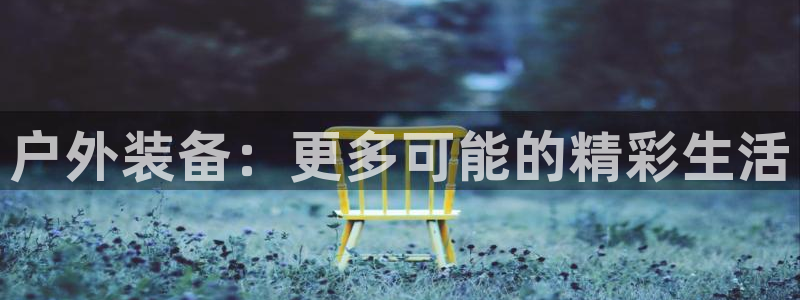 新宝gg登录平台