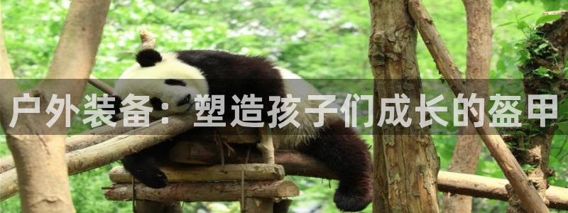 新宝gg 登录页面