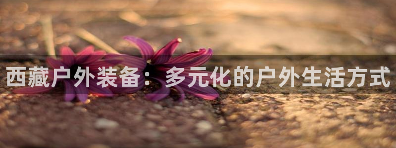 新宝gg首页平台