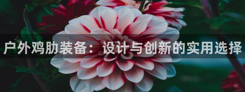 新宝gg娱乐怎么样