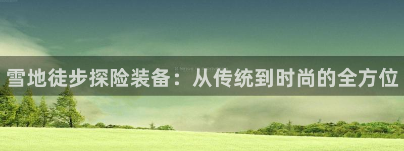 新宝gg和新宝123