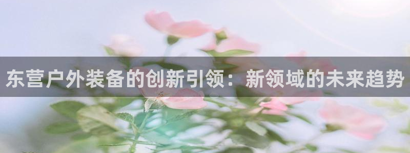 新宝gg客服电话