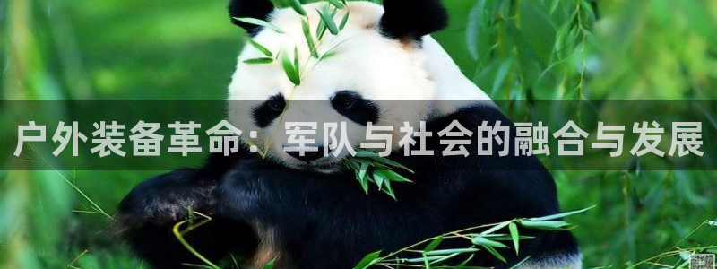 新宝GG于六七五一38