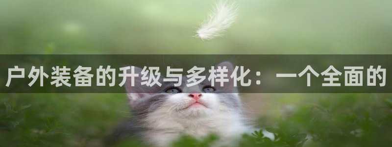 新宝gg手机助手