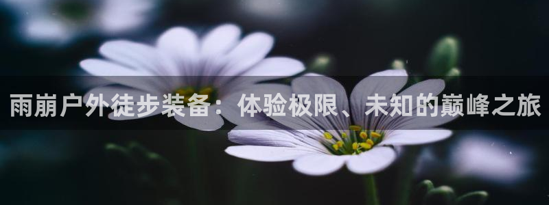 新宝gg创建奇迹