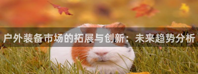 新宝注册gg平台