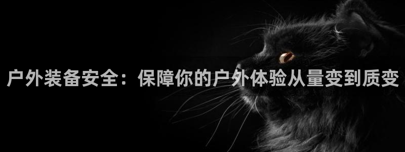 怎么代理新宝gg