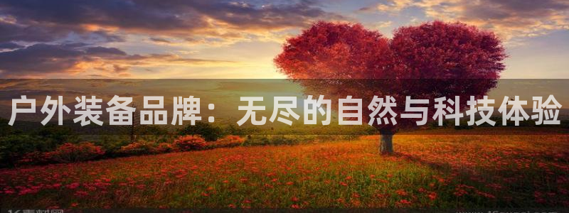 创造奇迹 新宝gg