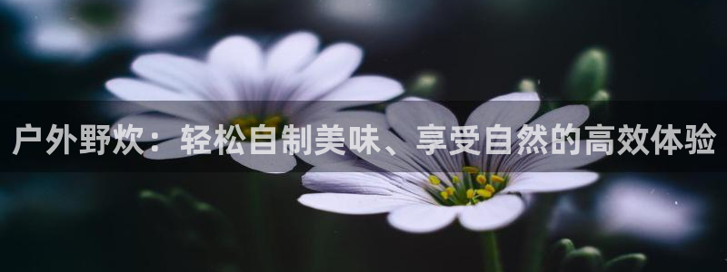 新宝gg如何注册登录