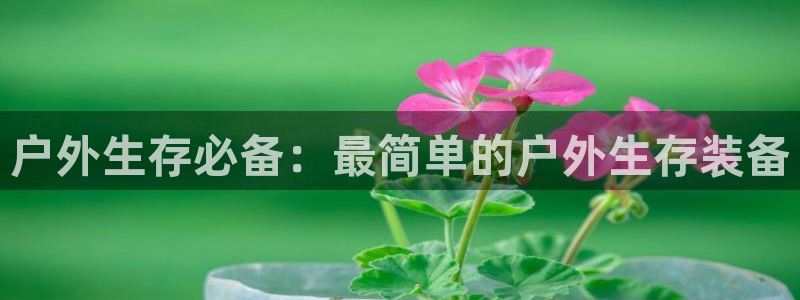 新宝gg地址新宝二