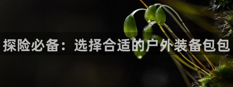 新宝gg手机官网登录