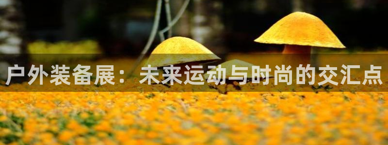 新宝gg注册登录网址