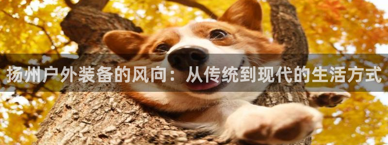 新宝_gg
