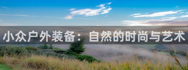 新宝GG最高返点多少