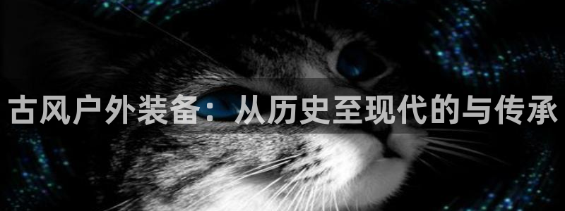 新宝gg开户