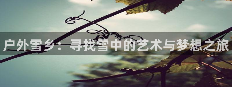 新宝gg系列