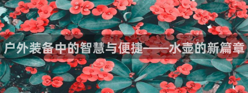 新宝gg娱乐上皇巢网