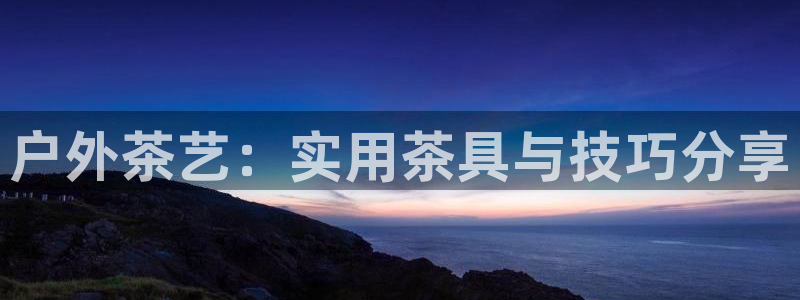 广东新宝电器gg