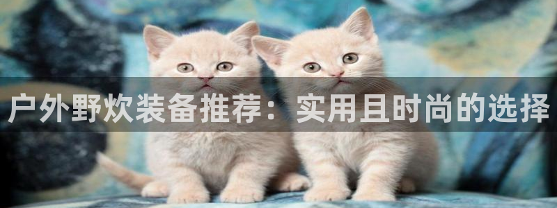 新宝 gg 总代理