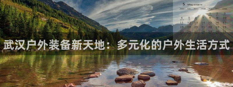 新宝gg反水