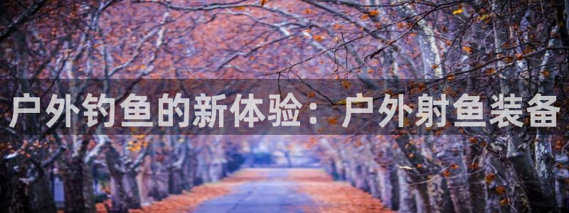 新宝gg dengludizhi