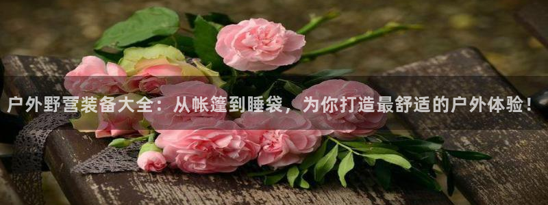 新宝gg客户登录