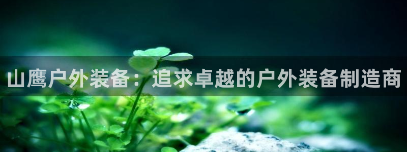新宝gg下载官网下载