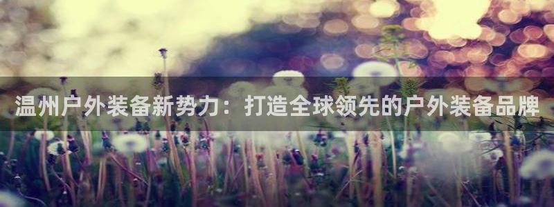 新宝gg代理登录