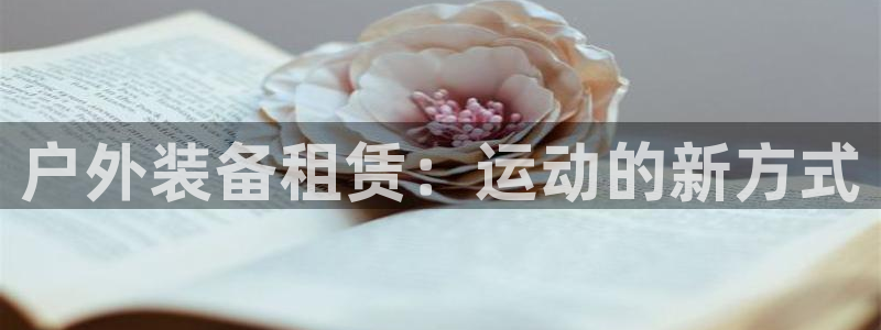 新宝GG—创造奇迹