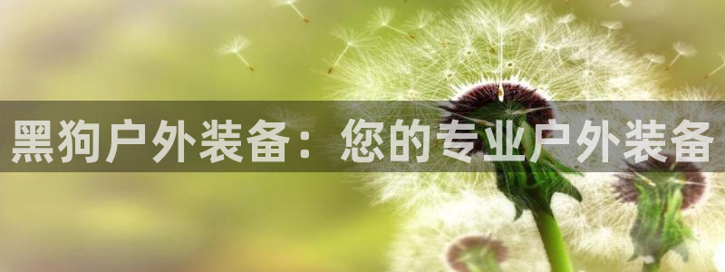 新宝gg游戏